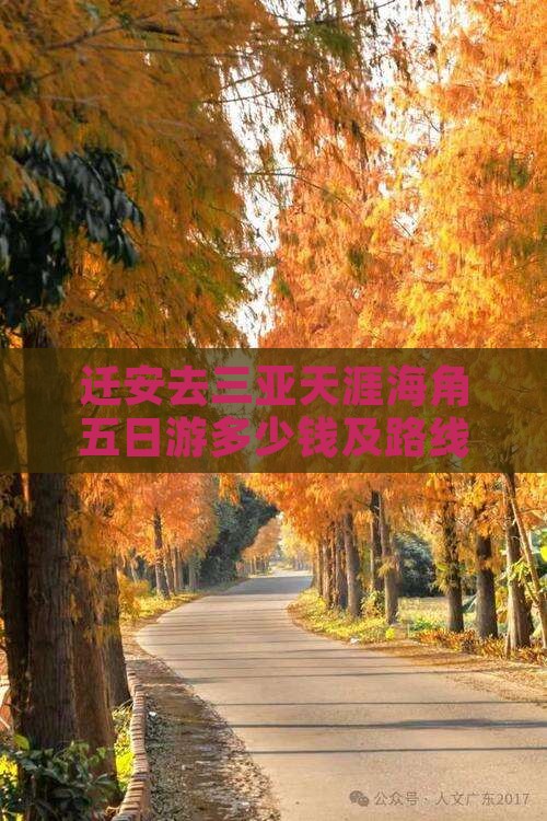 迁安去三亚天涯海角五日游多少钱及路线