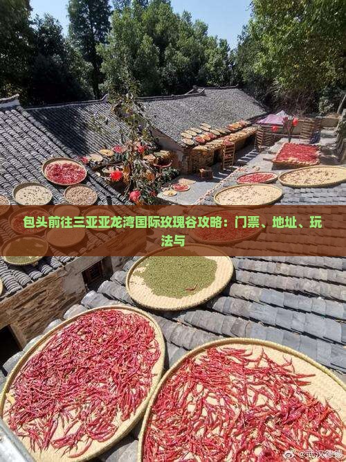 包头前往三亚亚龙湾国际玫瑰谷攻略：门票、地址、玩法与