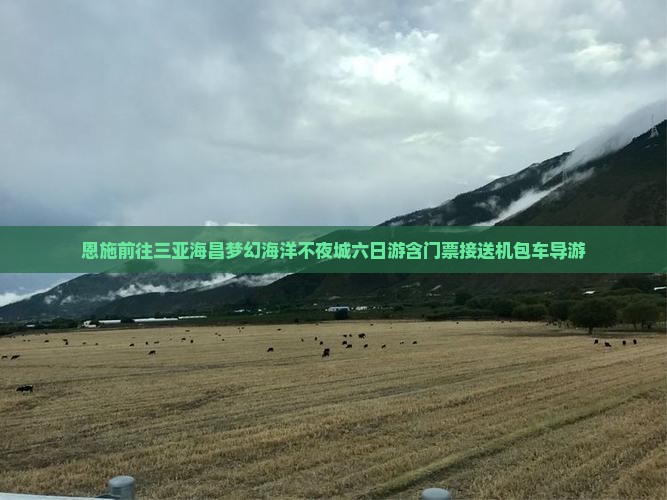 恩施前往三亚海昌梦幻海洋不夜城六日游含门票接送机包车导游