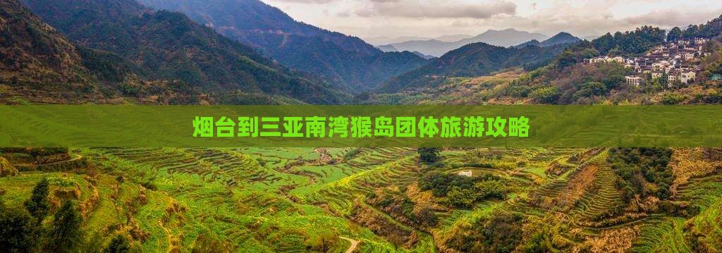 烟台到三亚南湾猴岛团体旅游攻略