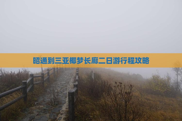 昭通到三亚椰梦长廊二日游行程攻略