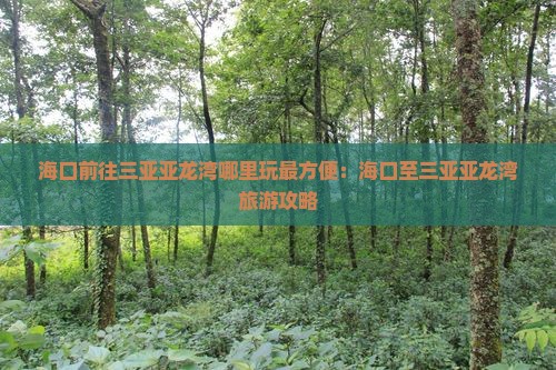 海口前往三亚亚龙湾哪里玩最方便：海口至三亚亚龙湾旅游攻略