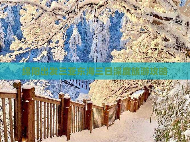 绵阳出发三亚东海三日深度旅游攻略