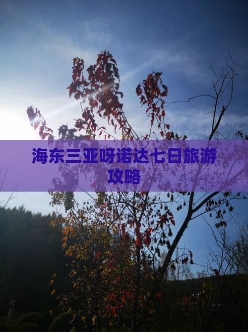 海东三亚呀诺达七日旅游攻略