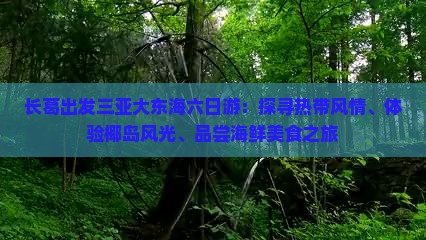 长葛出发三亚大东海六日游：探寻热带风情、体验椰岛风光、品尝海鲜美食之旅