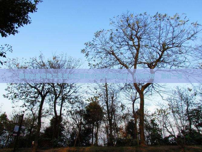 聊城出发探秘三亚亚特兰蒂斯水世界游玩攻略：门票价格、票价一览
