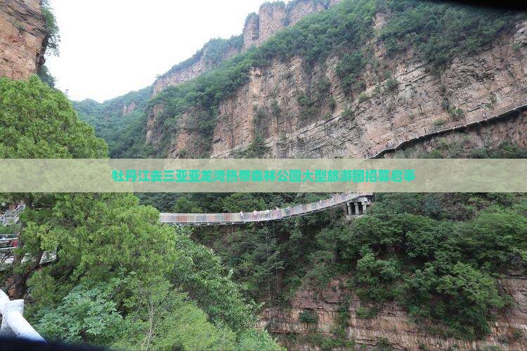 牡丹江去三亚亚龙湾热带森林公园大型旅游团招募启事
