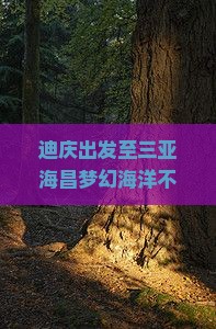 迪庆出发至三亚海昌梦幻海洋不夜城门票预订与攻略