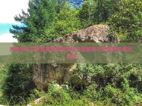 沈阳前往三亚亚龙湾热带森林公园旅游小吃推荐与游玩时间 沈阳前往三亚亚龙湾热带森林公园旅游小吃推荐与游玩时间