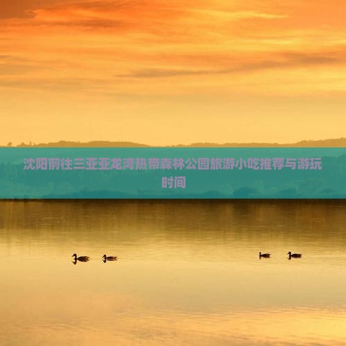 沈阳前往三亚亚龙湾热带森林公园旅游小吃推荐与游玩时间 沈阳前往三亚亚龙湾热带森林公园旅游小吃推荐与游玩时间