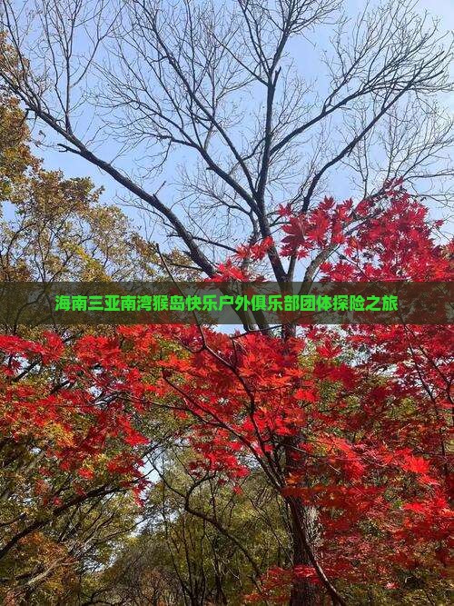 海南三亚南湾猴岛快乐户外俱乐部团体探险之旅