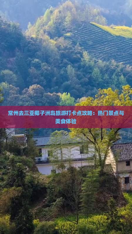 常州去三亚椰子洲岛旅游打卡点攻略：热门景点与美食体验