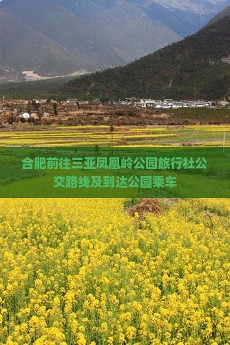 合肥前往三亚凤凰岭公园旅行社公交路线及到达公园乘车