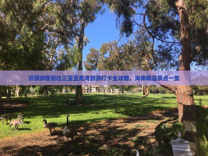 济源游客前往三亚亚龙湾旅游打卡全攻略，海南精品景点一览
