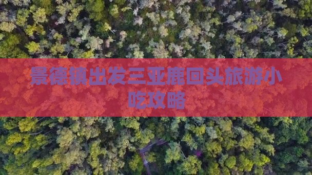 景德镇出发三亚鹿回头旅游小吃攻略