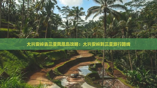 大兴安岭去三亚凤凰岛攻略：大兴安岭到三亚旅行路线