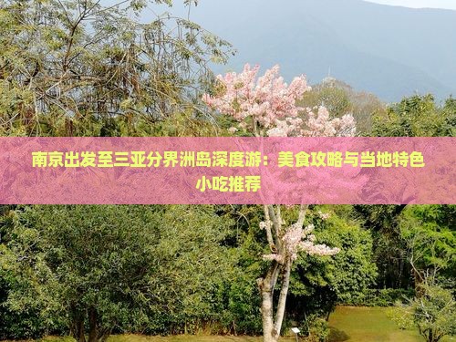 南京出发至三亚分界洲岛深度游：美食攻略与当地特色小吃推荐