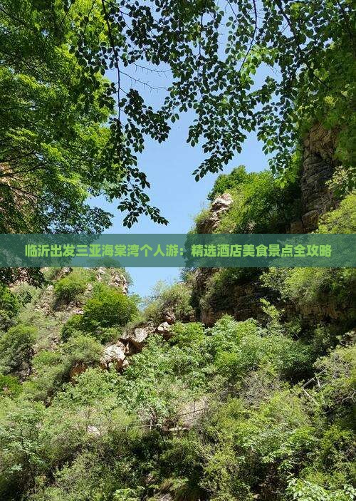临沂出发三亚海棠湾个人游：精选酒店美食景点全攻略