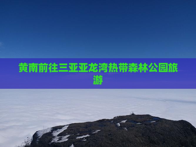 黄南前往三亚亚龙湾热带森林公园旅游