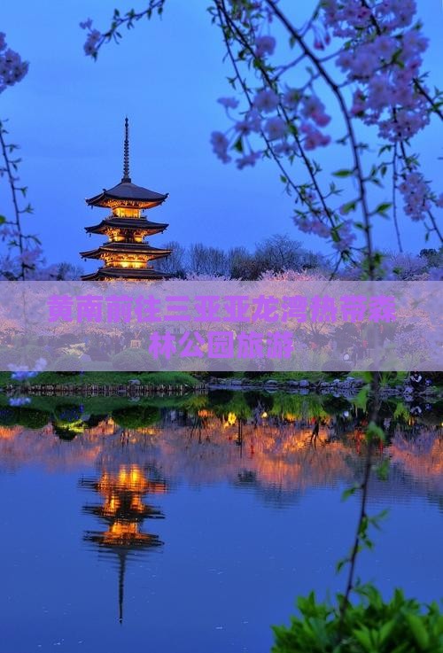 黄南前往三亚亚龙湾热带森林公园旅游