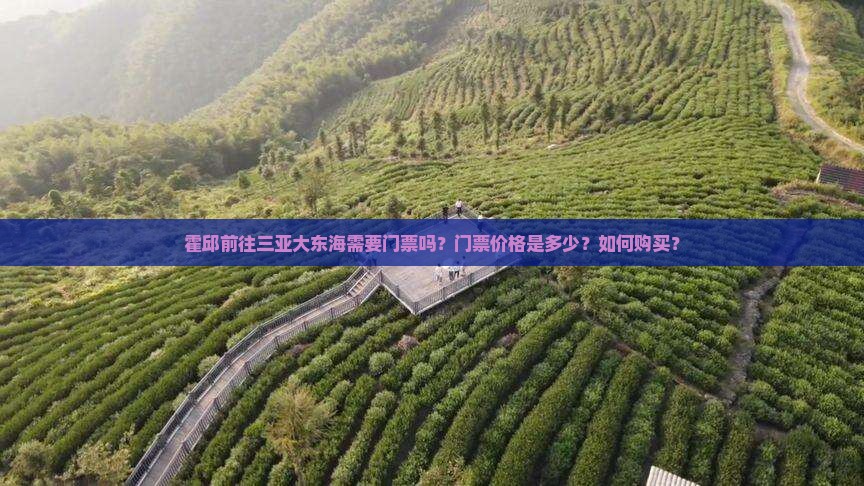 霍邱前往三亚大东海门票