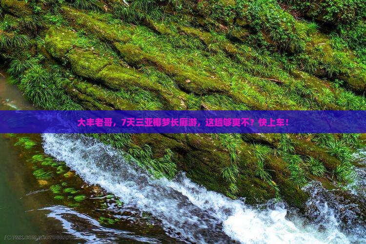 大丰出发三亚椰梦长廊七日游
