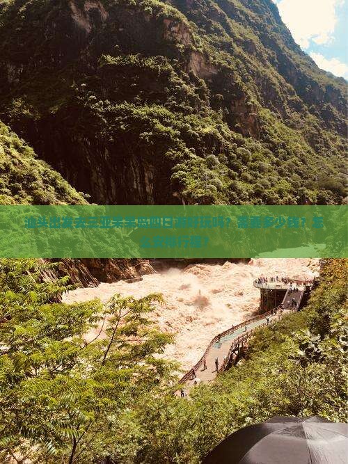 汕头前往三亚呆呆岛四日游