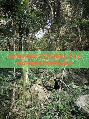 临猗前往三亚南山文化旅游区三日游