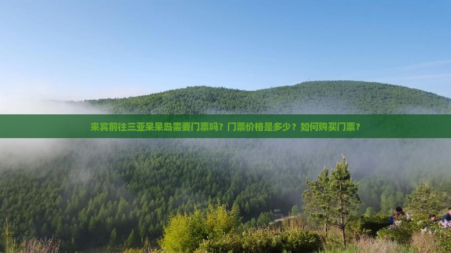 来宾前往三亚呆呆岛门票
