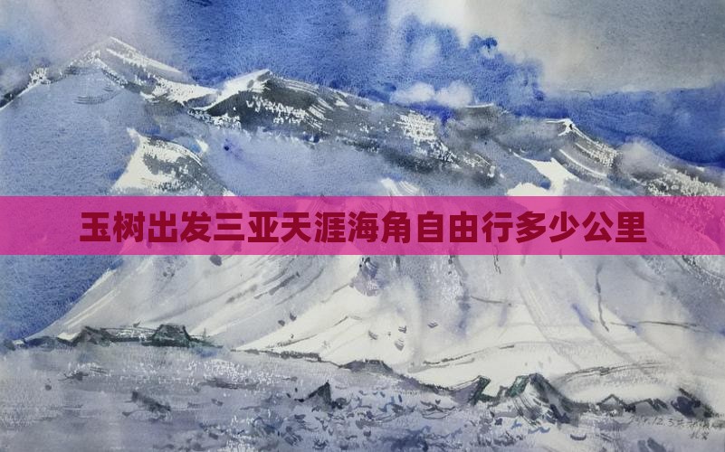 玉树出发三亚天涯海角自由行
