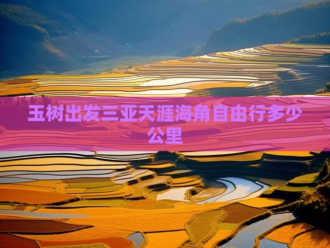 玉树出发三亚天涯海角自由行