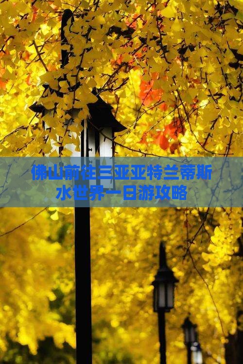 佛山前往三亚亚特兰蒂斯水世界一日游