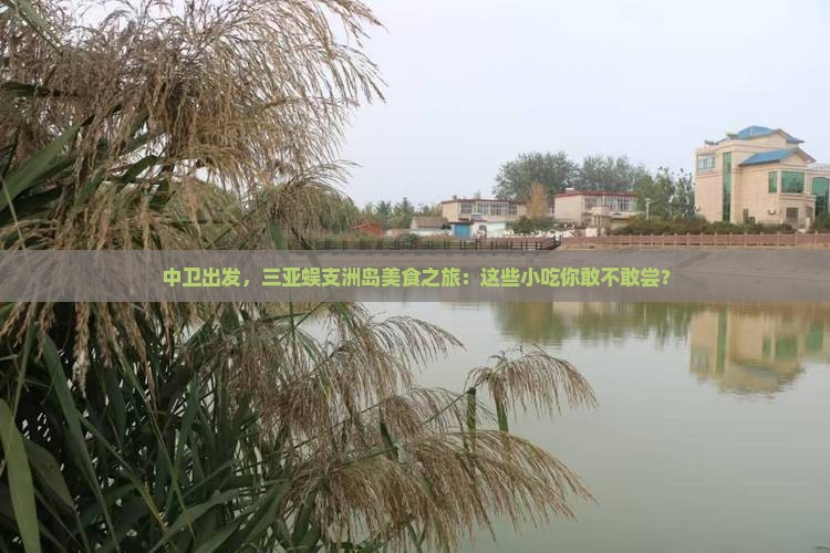 中卫去三亚蜈支洲岛旅游小吃