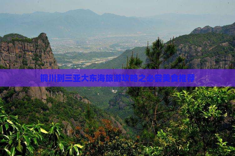 铜川前往三亚大东海旅游小吃
