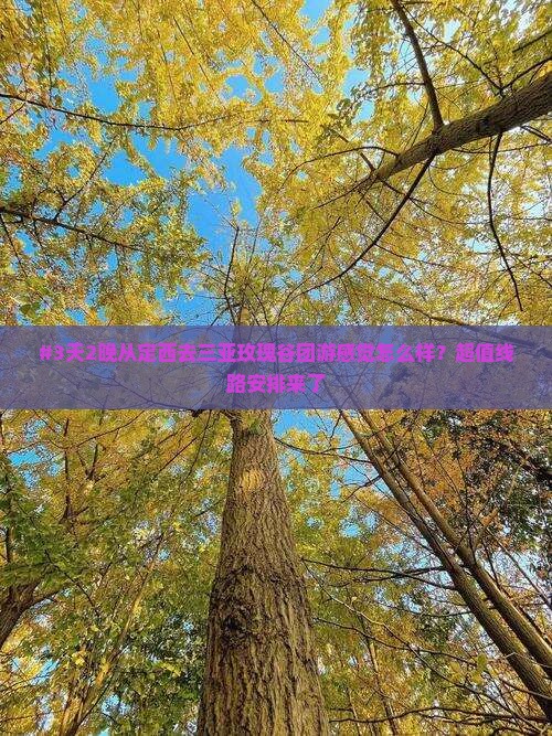 定西出发三亚亚龙湾国际玫瑰谷团体旅游