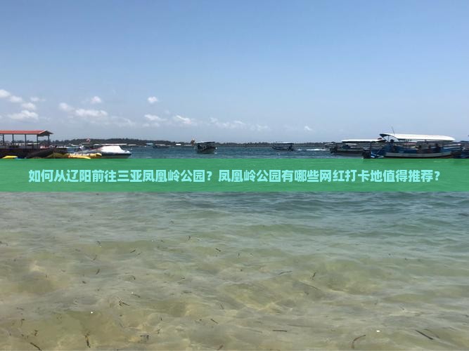 辽阳出发三亚凤凰岭公园旅游网红地点 辽阳出发三亚凤凰岭公园旅游网红地点