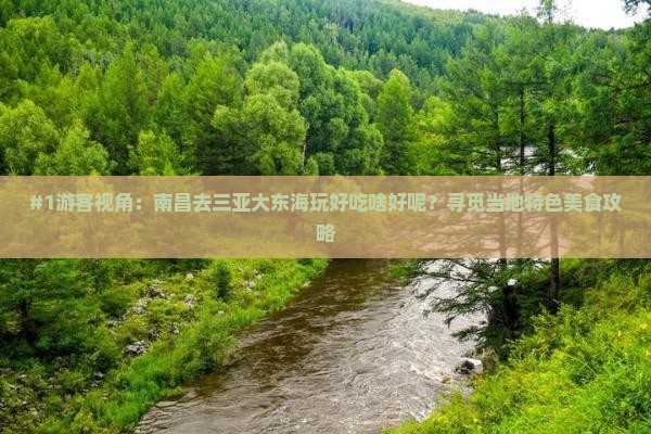 南昌出发三亚大东海旅游小吃 南昌出发三亚大东海旅游小吃