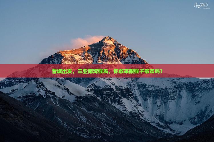 晋城出发三亚南湾猴岛旅游