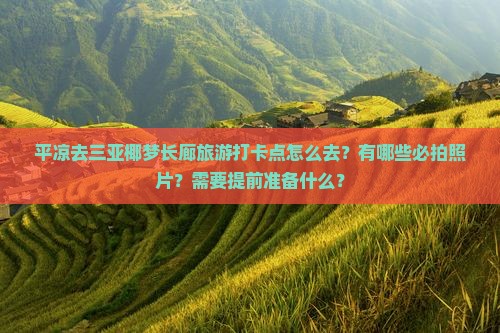 平凉去三亚椰梦长廊旅游打卡点