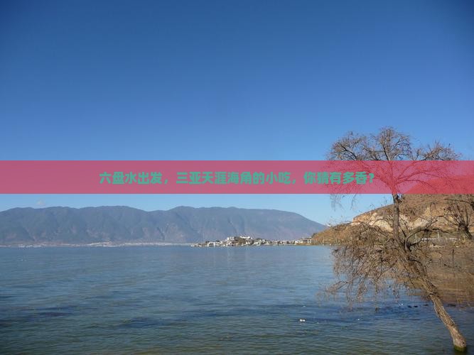 六盘水前往三亚天涯海角旅游小吃