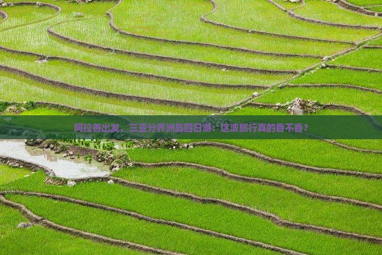 阿拉善盟出发三亚分界洲岛四日游