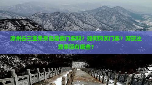 漳州前往三亚呆呆岛门票