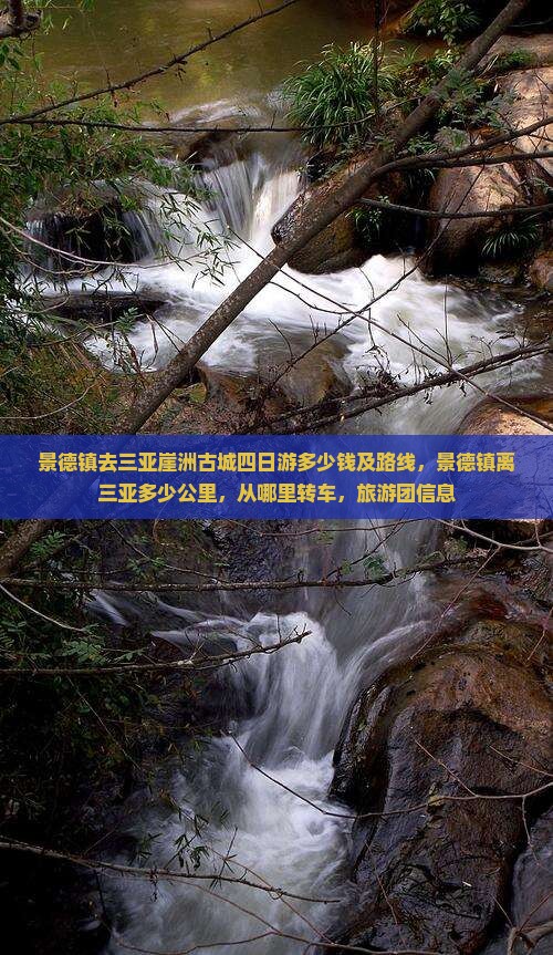 景德镇去三亚崖洲古城四日游