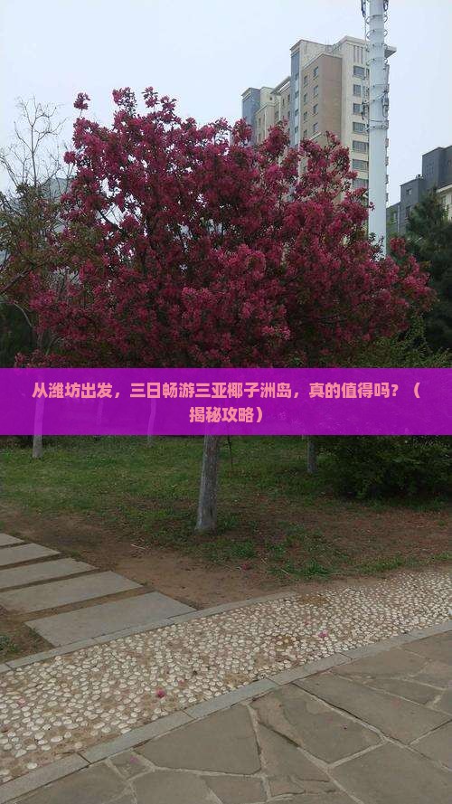 潍坊前往三亚椰子洲岛三日游