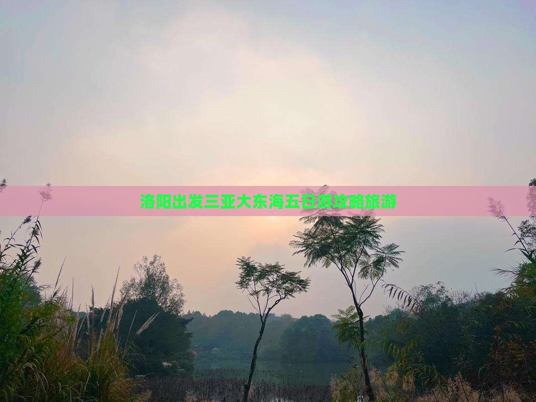 洛阳出发三亚大东海五日游