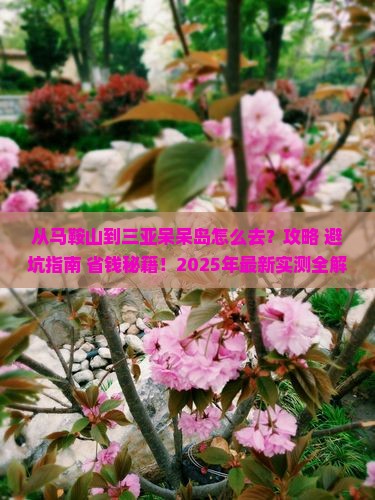 马鞍山去三亚呆呆岛哪里玩