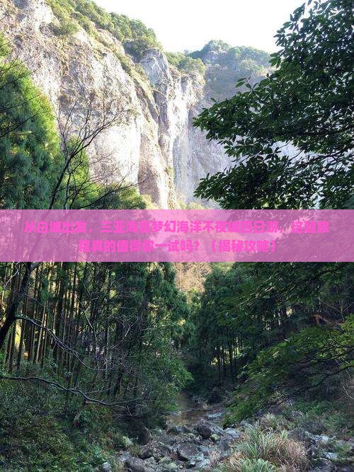白城出发三亚海昌梦幻海洋不夜城四日游