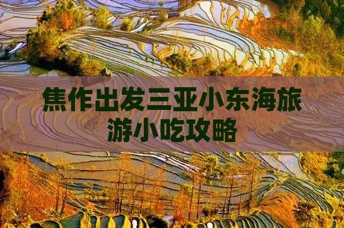 焦作出发三亚小东海旅游小吃