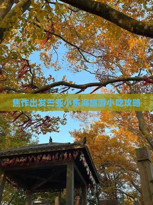 焦作出发三亚小东海旅游小吃