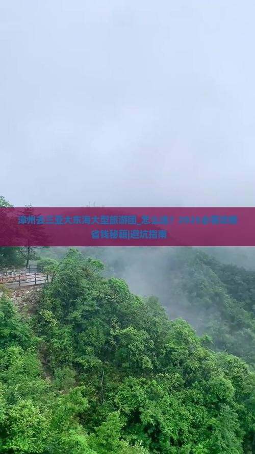 漳州去三亚大东海大型旅游团